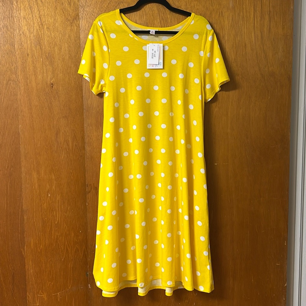 Jesse swing dress